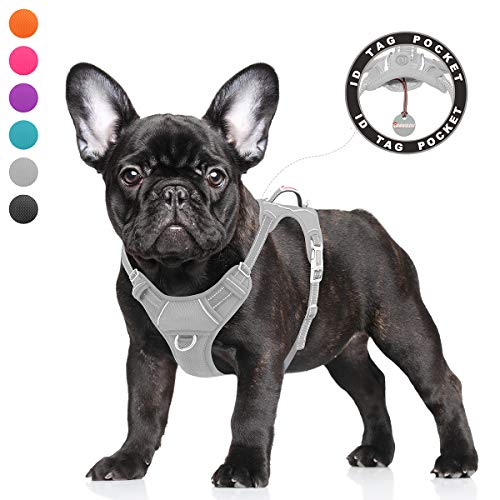 Best Harness for Pugs Top Picks for 2021 Find The Review