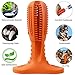 HETOO Dog Toothbrush Stick Natural Rubber Doggy Teeth Cleaning Chews Toy for All Breeds Puppies (Orange)