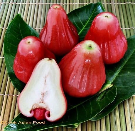 20pcs/lot Wax Apple Fruit Seeds,delicious Fruit Seeds