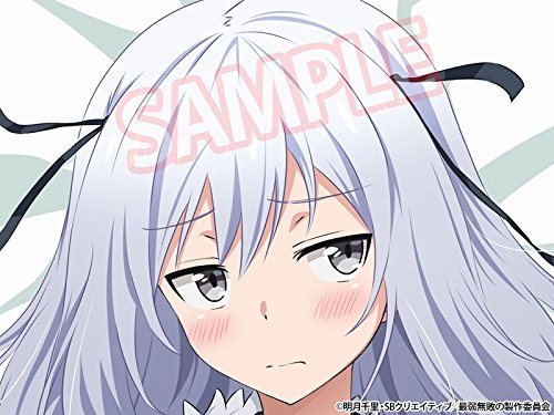 アイリアーカディア バハムート 最弱無敗の神装機竜 抱き枕カバー B073rzjpdv アニメ萌えグッズ 新品 Start Ukraine Com