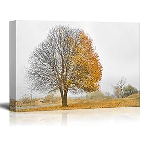 Canvas Wall Art - Tree with Yellow Leaves During Fall - Giclee Print Gallery Wrap Modern Home Art Ready to Hang - 12x18 inches