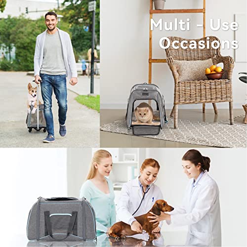 Petsfit Pet Carrier with Removable Wheels for Cats, Dogs up to 30 Pound
