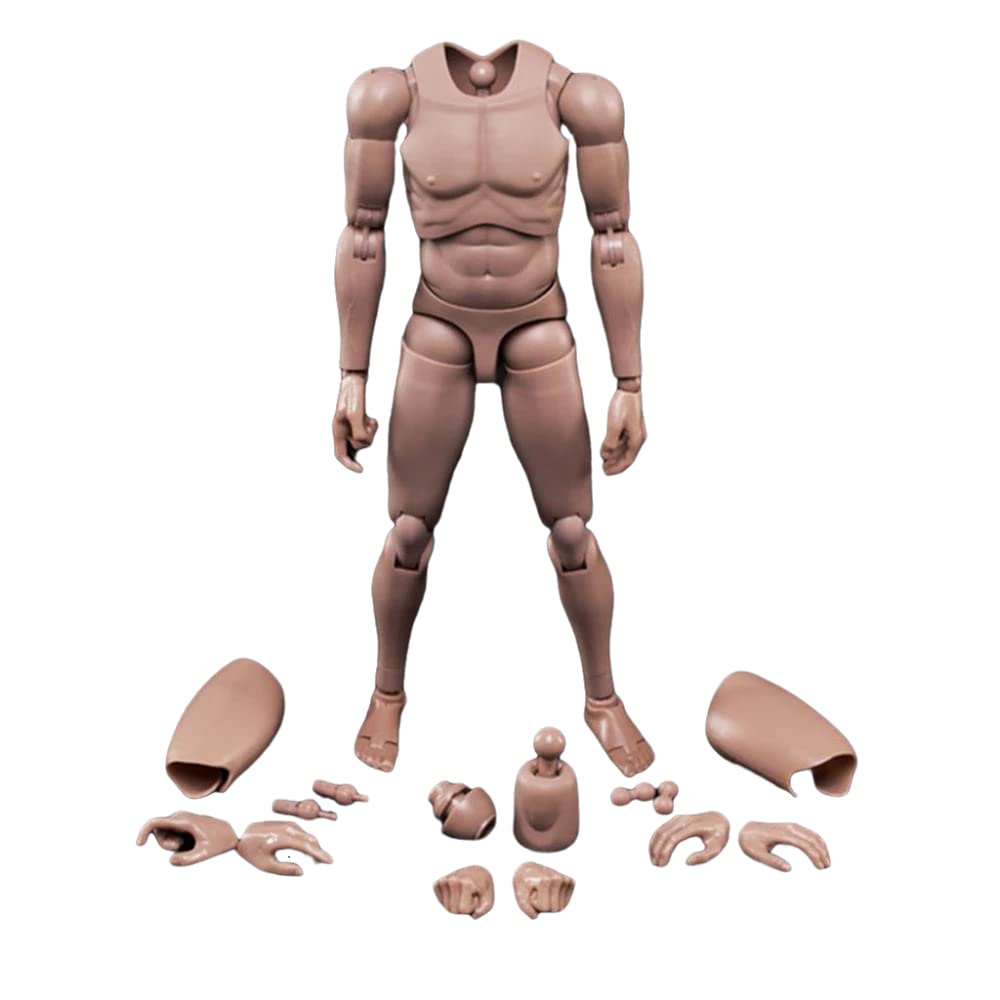 Generisch 1/6 Male Body, 12 Inch Europe Skin Action Figure Body Toy MX02-A For 1/6 Head Sculpture
