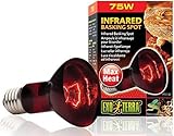 Exo Terra Heat-Glo Infrared Spot Lamp, 75-Watt/120-Volt