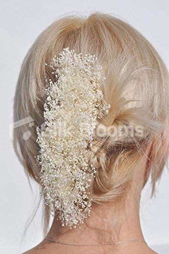 Amazon Com Silk Blooms Ltd Real Baby S Breath Preserved