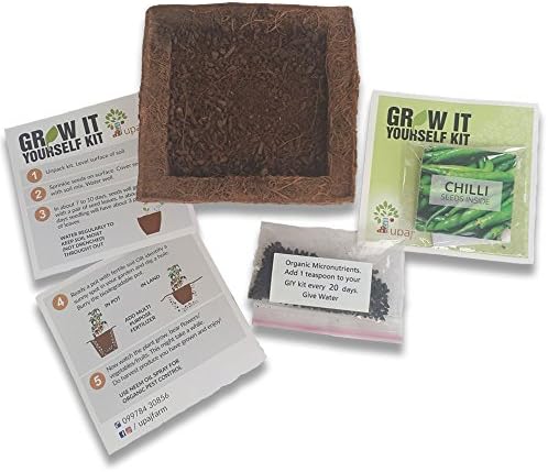 Upaj Grow It Yourself Veg Small Chilli Kit [ PACK OF 2 ]