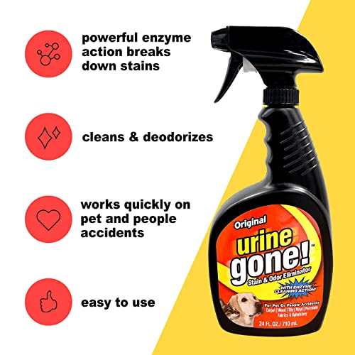 Urine Gone Stain & Odor Eliminator Professional Strength FastActing