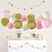 Pink and Gold Party Decorations, Pom Poms Flowers Kit + Star Paper Garland + Tissue Paper lantern for 1st Birthday Girl Decorations Kids Birthday Bridal Shower Baby Shower wedding by Litaus