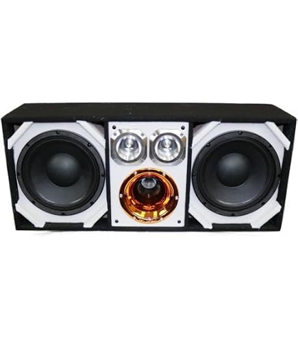 Amazon.com: DEEJAY LED Two 12in Woofers Plus Two Tweeters and O