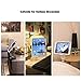Tablet Stand LARICARE Phone Stand Phone Holder 360 Degree Swivel Aluminum Adjustable Sturdy clamp for Camera, iPad, iPhone, Samsung and Other Smart Phones LD204B(Black)