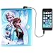 Frozen Password Diary Holder