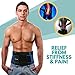 Back Brace Support Belt - Back Support for Men & Women with Adjustable Straps – Provides Back Pain Relief, Sciatica Relief and Lumbar Support – by PLYO-TEC (Blue, S)