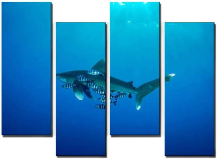 Wocatton Oceanic whitetip Shark in red sea symbiotic Relationship Stock Wall Art Background Decor Pictures Print On Canvas Art Stretched and Framed Perfect Home Decoration