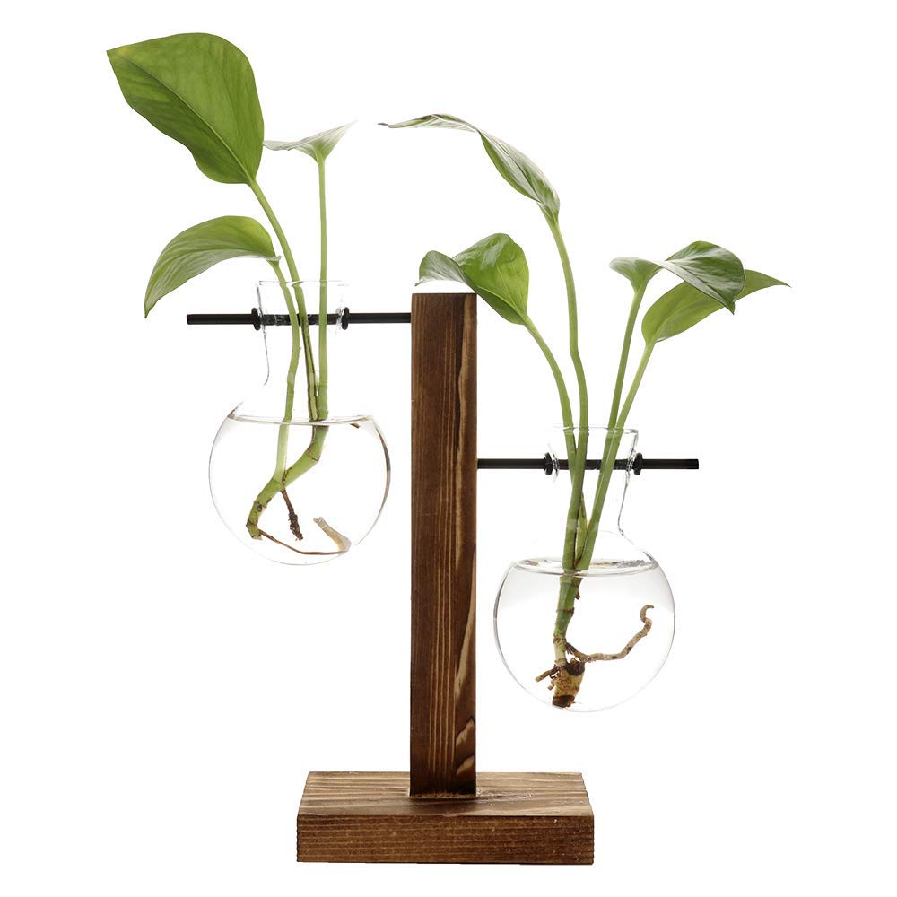 Lingtoolator roponic Vase Water Propogating Vase Station Plant Terrarium with Wooden Stand Air Planter Bulb Glass Vase Desktop Planter Glass Bulb Vase Retro Hanging Plant Glass Vase Home Decor
