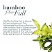 Organix Bodifying + Bamboo Fiber Full Root Boosting Spray Mousse, 7.75 Ounce