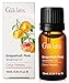 Gya Labs Grapefruit Essential Oil for Aromatherapy – 0.34 Fl Oz – Premium Grade Essential Oils for Diffuser, Aromatherapy, Hair Care, Skin Care, Body, Massage & DIY Candle Making Scents