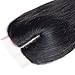 Ayana Brazilian Virgin Hair Straight Middle Part 4X4 Lace Closure 100% Unprocessed Human Hair Lace Closure (14
