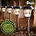 Solar Lights Bright Pathway Outdoor Garden Stake Glass Stainless Steel Waterproof Auto On/off White Wireless Sun Powered Landscape Lighting for Yard Patio Walkway Landscape In-Ground Spike Pathway primary