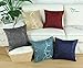 CaliTime Throw Pillow Covers Pack of 2 Modern Shining & Dull Contrast Circles Rings Accent Geometric Cushion Cases Shells for Couch Sofa Home Decor 18 X 18 Inches Burgundy