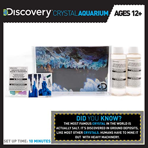 Discovery Crystal Growing Aquarium by Horizon Group USA, Great DIY STEM