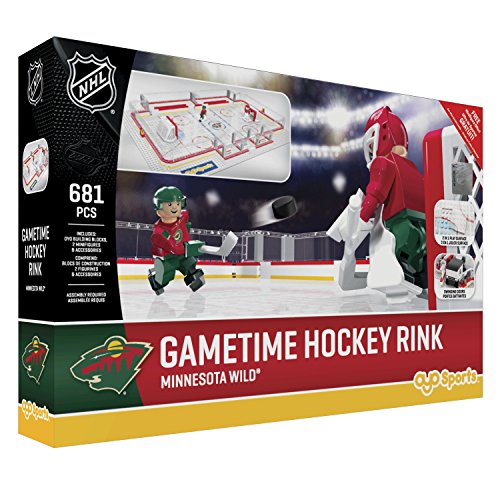 NHL Minnesota Wild Full Rink Set, Small, Black
