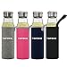 TOPOKO Handmade 18.5 Ounce Glass Water Bottle-Extra Strong Crystal Glass Bottle Bpa-Free, Lead-Free with Handmade Handle Nylon Sleeve (Grey)