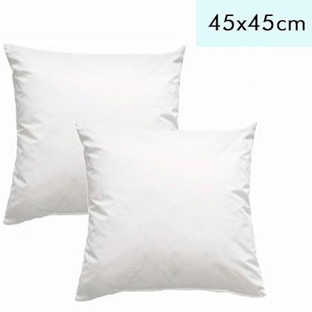Luxusfeder 2er Set Kissen Daunenkissen 45x45 cm, 450 g Couche-Daunen, Kissenfüllung, Sofakissen, Innenkissen Daunen, Made in 
