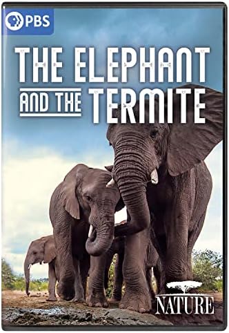 Borneos Pygmy Elephants [Blu-ray](中古品) Amazon.com: Borneo's Pygmy Elephants [Blu-ray] : Narrated, Joe
