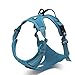 PETTOM No-Pull Dog Harness Safe Control Reflective Outdoor Adventure Pet Vest Harness with Padded Handle(L, Blue)