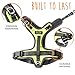 Mighty Paw Sport Harness 2.0 - Padded Canine Accessory - Adjustable Neck and Chest Straps - Enhanced Visibility with Reflective Stitching - Dog Padded Harness with Handle - Large - Green