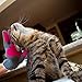 Kitty Tongue: Cat Pampering & Massage Glove with Gentle Grooming