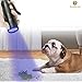 Pet Urine Detector Torch -- UV Flashlight for Dog Urine, Cat Stains, Bed Bug - 12 LED bulbs cover larger area - Waterproof - 3 AAA Batteries Included