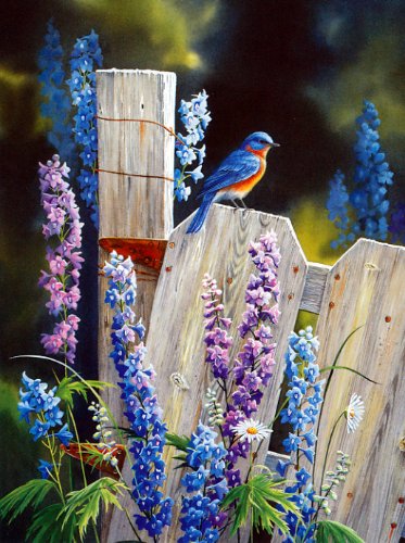 Susan Bourdet's Songbirds - Blank Card Set by Leanin' Tree (AST90634) - 20 cards with full-color interiors and 22 designed envelopes - Thumbnail 2