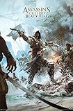Assassin's Creed IV Black Flag Video Game Poster 22 x 34in