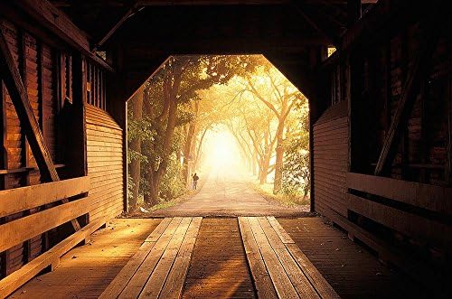 Covered Bridge in Virginia Wallpaper Wall Mural - Self-Adhesive - Multiple Sizes - National Geographic Image from Magic Murals