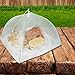 Set of 2 Large Pop-Up Mesh Screen Food Cover Tents - Keep Out Flies, Bugs, Mosquitos - Reusable - Colors May Vary (ASSORTED, 1)