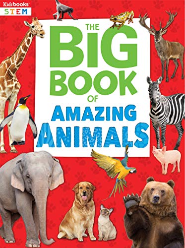 Amazing Animals