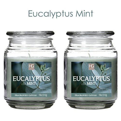 Aromatherapy Hosley Set of 2 Eucalyptus Mint, Highly Scented, 18 Oz EACH, 18 Oz EACH, Jar Candle. Ideal votive GIFT for party favor, weddings, Spa, Reiki, Meditation, Bathroom settings