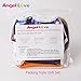 Swim Diapers, Angel Love 3Pcs Pack One Size Fit All Cloth Swimming Diaper, Adjustable, Potty Training Pants, Washable and Reusable (SWD020414)
