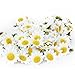 MagicW 11 100Pcs Artificial Wholesale Fake Gerbera Daisy Silk Sunflowers Sun Heads for Wedding Party Flowers Decorations Home D¨¦cor White