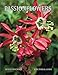 Passionflowers: A Pictorial Guide by Ronald Boender, Dr. John MacDougal