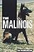 The Malinois
