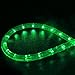 WYZworks 288LEDs, 25ft LED Green Outside Rope Light, Connectable Outdoor ETL Certified Permanent Waterproof Accent Exterior Lighting, Flexible Clear PVC Shell, Holiday, Backyard Patio Palm Tree