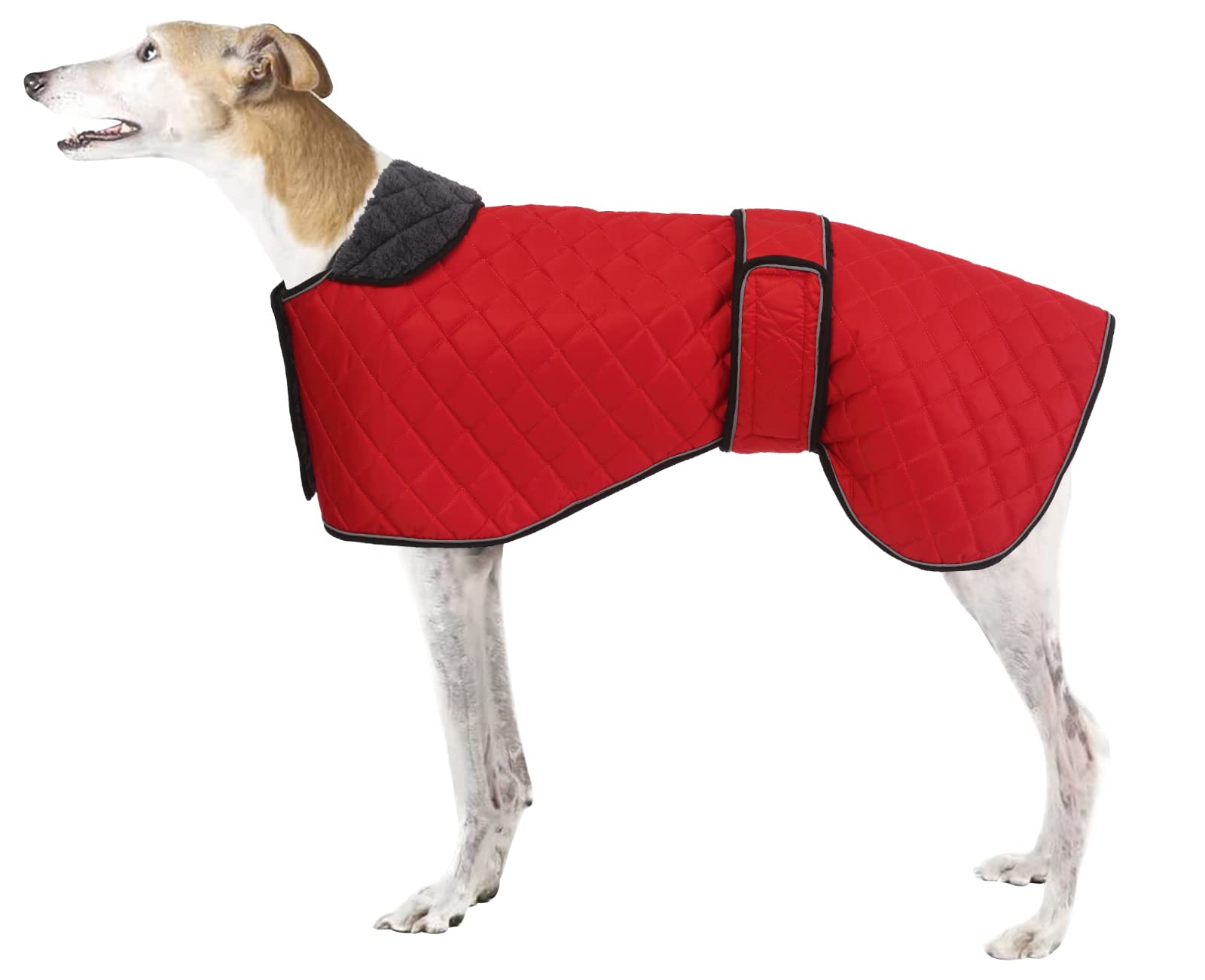 Greyhound Whippet Winter Coat - Waterproof Dog Jacket with Fleece Lining, Adjustable for Medium or Large Dogs, Ideal for Greyhounds, Whippets, Lurchers & Salukis - Red