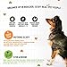 I and love and you Stir & Boom Dehydrated Freeze Dried Raw Dog Food, Chicken, 5.5-Pound Bag