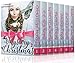 THE MYSTERY OF CHRISTMAS 2 (7 New Christian Mystery/Suspense Novellas)