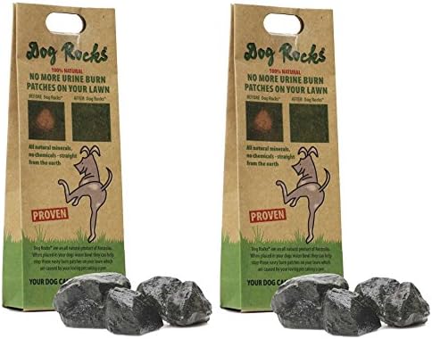 Dog Rocks – All Natural Grass Burn Solution for Dogs Prevents Lawn Urine Stains - 200 Gram Box (2 Pack)