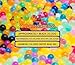 Big Mo's Toys Water Beads – Colorful Floral Gel Pearl Balls for Vase Or Sensory Exploration