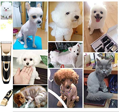 BigTron Professional Rechargeable Electrical Pet Grooming Clipper Kit for Dog and Cat Hair with Trimmer and Shaver