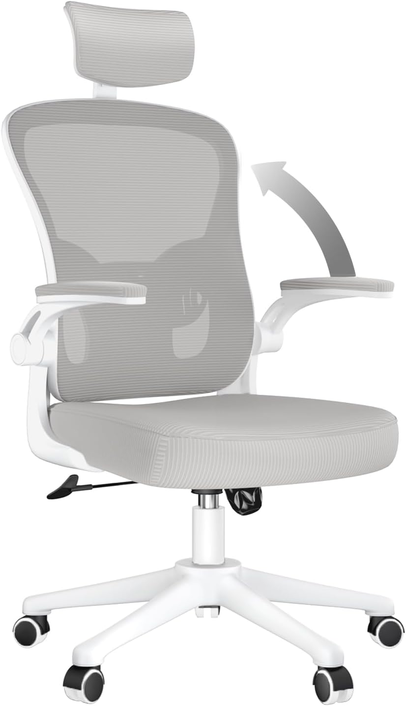 naspaluro Ergonomic Office Desk Chair with Adjustable Headrest Gray